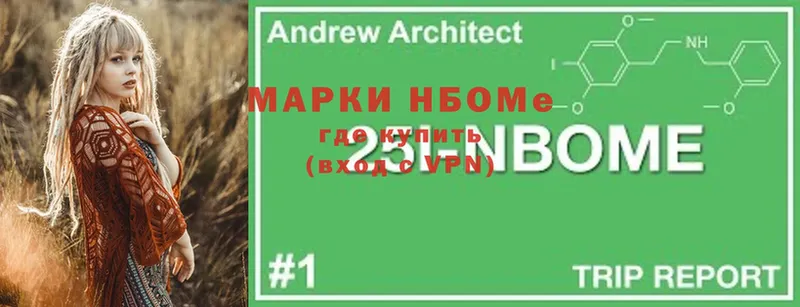 дарнет шоп  Анива  Марки 25I-NBOMe 1500мкг 